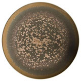 Jaune de Chrome Highland Dinnerware | Gracious Style