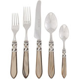 Aladdin Stainless Flatware in Antique Taupe | Gracious Style