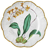 Jardin D'Orchidees Dinnerware by Alberto Pinto | Gracious Style