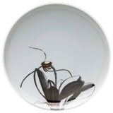 Orchids Plates, Bowls and Vases by Caskata | Gracious Style
