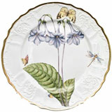 Botanical Studies Dinnerware by Anna Weatherley | Gracious Style