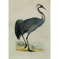 Prints - Home Decor | Gracious Style