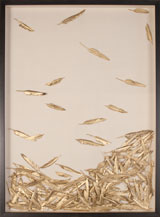Specimen Art | Gracious Style