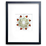 Christopher Marley Insect Art -  Colure | Gracious Style