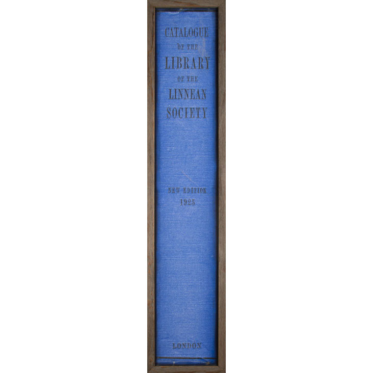 The Book Collection: London | Gracious Style