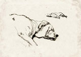 Louis Francisco's Dog 13 | Gracious Style