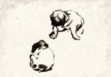 Louis Francisco's Dog 3 | Gracious Style