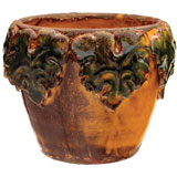 Amber Leaf Border Cachepot by Vietri | Gracious Style