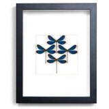 Christopher Marley Insect Art - Euphea Damselfly Diamond | Gracious Style