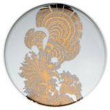 Sea Sponges Serving Dishes by Caskata | Gracious Style