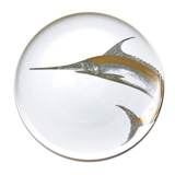 Swordfish Serving Dishes by Caskata | Gracious Style