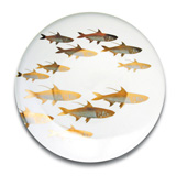 School of Fish Gold Dinnerware by Caskata | Gracious Style
