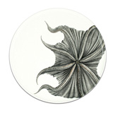 Black Octopus Serving Bowls & Platters by Caskata ...