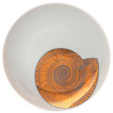Shells Gold Serving Dishes by Caskata | Gracious Style