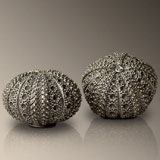 Sea Urchin Salt & Pepper Shakers| Gracious Style