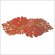 Kim Seybert Coral Red Beaded Runner | Gracious Style