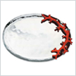 Coral Reef Tray Michael Aram  | Gracious Style