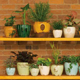 Vietri Rustic Garden Terrace Small Cachepots | Gracious Style